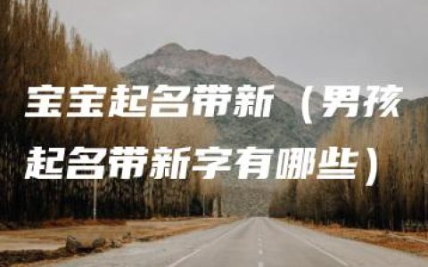 宝宝起名带新（男孩起名带新字有哪些）