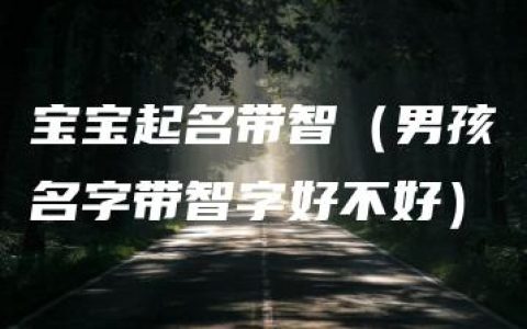 宝宝起名带智（男孩名字带智字好不好）