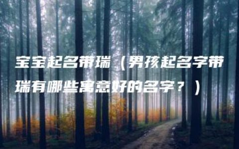 宝宝起名带瑞（男孩起名字带瑞有哪些寓意好的名字？）