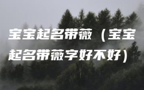 宝宝起名带薇（宝宝起名带薇字好不好）