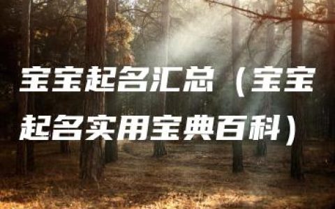 宝宝起名汇总（宝宝起名实用宝典百科）