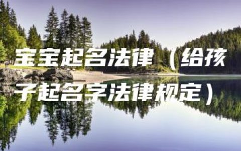 宝宝起名法律（给孩子起名字法律规定）