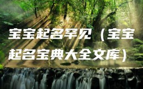 宝宝起名罕见（宝宝起名宝典大全文库）