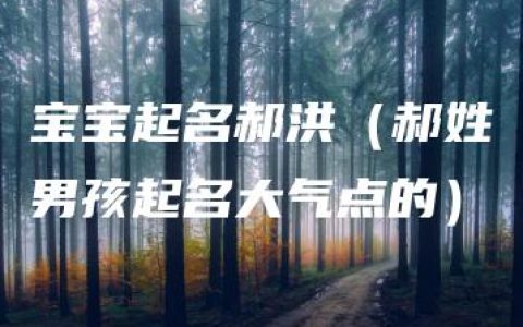 宝宝起名郝洪（郝姓男孩起名大气点的）