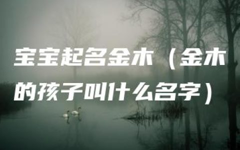 宝宝起名金木（金木的孩子叫什么名字）