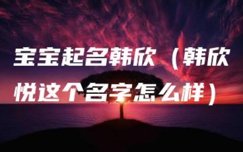 宝宝起名韩欣（韩欣悦这个名字怎么样）