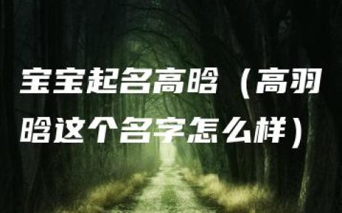 宝宝起名高晗（高羽晗这个名字怎么样）