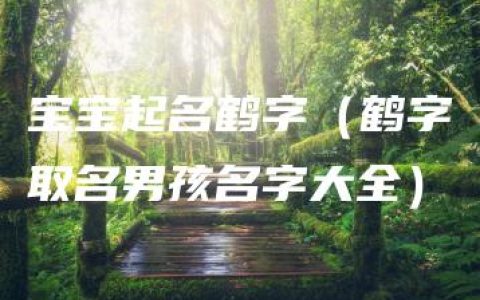 宝宝起名鹤字（鹤字取名男孩名字大全）