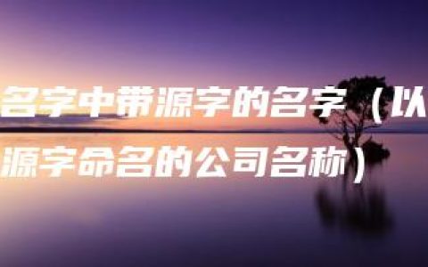 名字中带源字的名字（以源字命名的公司名称）