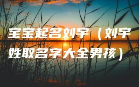 宝宝起名刘宇（刘宇姓取名字大全男孩）