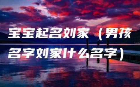 宝宝起名刘家（男孩名字刘家什么名字）