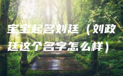 宝宝起名刘廷（刘政廷这个名字怎么样）