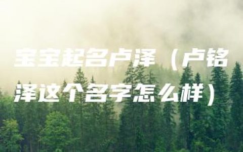 宝宝起名卢泽（卢铭泽这个名字怎么样）