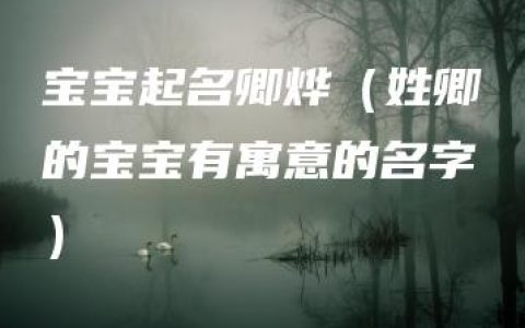 宝宝起名卿烨（姓卿的宝宝有寓意的名字）