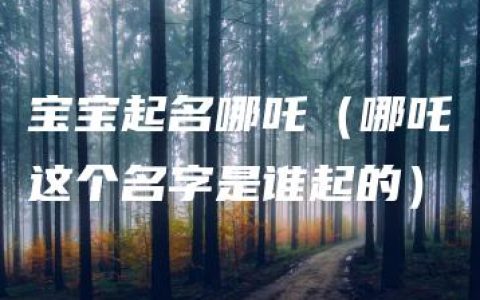 宝宝起名哪吒（哪吒这个名字是谁起的）