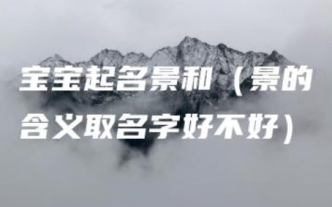 宝宝起名景和（景的含义取名字好不好）