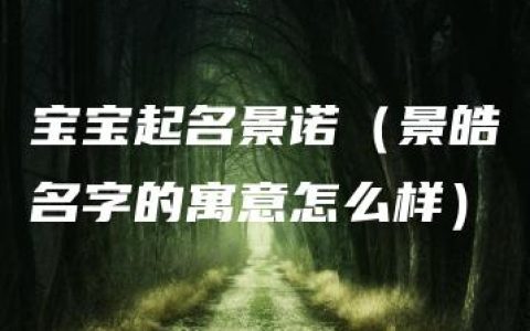 宝宝起名景诺（景皓名字的寓意怎么样）