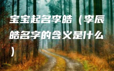 宝宝起名李皓（李辰皓名字的含义是什么）