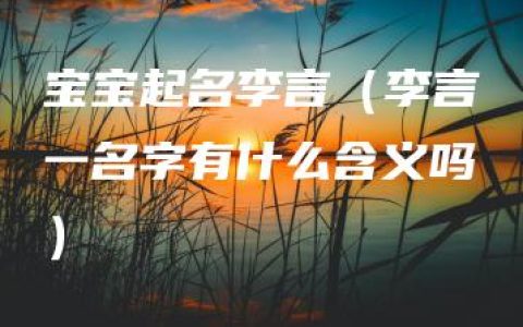 宝宝起名李言（李言一名字有什么含义吗）