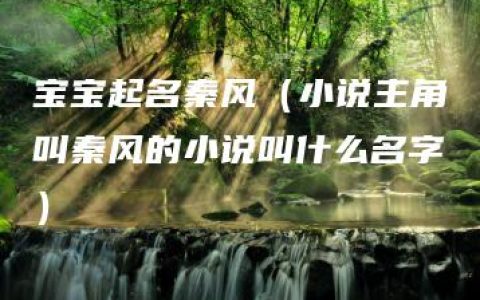 宝宝起名秦风（小说主角叫秦风的小说叫什么名字）