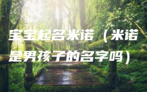 宝宝起名米诺（米诺是男孩子的名字吗）