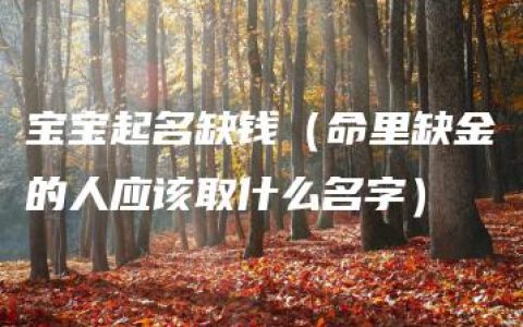 宝宝起名缺钱（命里缺金的人应该取什么名字）