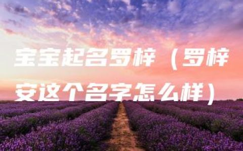 宝宝起名罗梓（罗梓安这个名字怎么样）