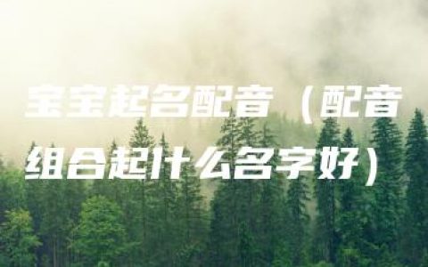 宝宝起名配音（配音组合起什么名字好）