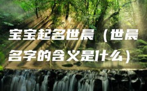 宝宝起名世晨（世晨名字的含义是什么）