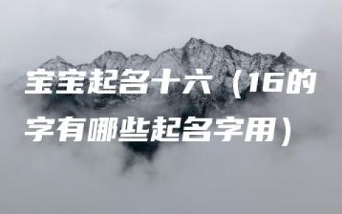 宝宝起名十六（16的字有哪些起名字用）