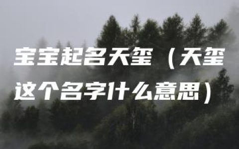 宝宝起名天玺（天玺这个名字什么意思）