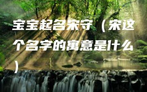 宝宝起名宋守（宋这个名字的寓意是什么）