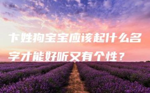 卞姓狗宝宝应该起什么名字才能好听又有个性？