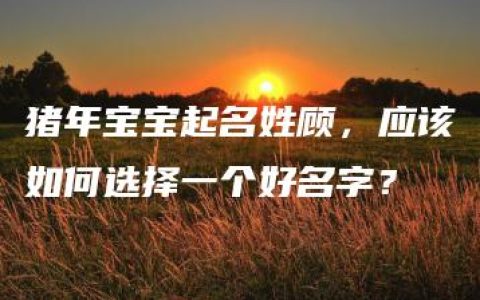 猪年宝宝起名姓顾，应该如何选择一个好名字？