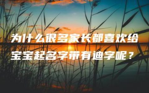 为什么很多家长都喜欢给宝宝起名字带有迪字呢？