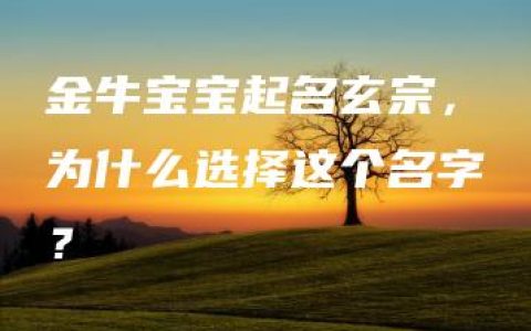 金牛宝宝起名玄宗，为什么选择这个名字？