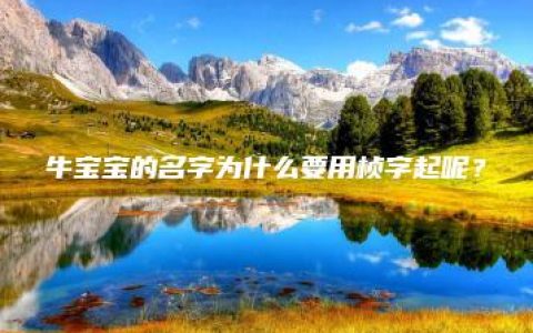 牛宝宝的名字为什么要用桢字起呢？