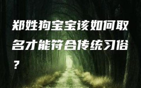 郑姓狗宝宝该如何取名才能符合传统习俗？