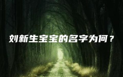 刘新生宝宝的名字为何？