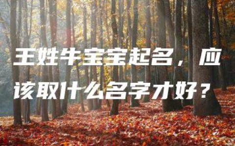 王姓牛宝宝起名，应该取什么名字才好？