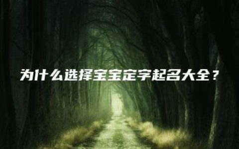 为什么选择宝宝定字起名大全？