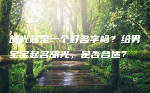 胡光起是一个好名字吗？给男宝宝起名胡光，是否合适？