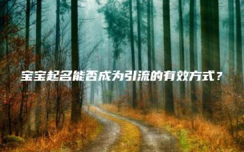 宝宝起名能否成为引流的有效方式？