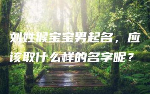 刘姓猴宝宝男起名，应该取什么样的名字呢？