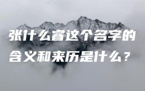 张什么睿这个名字的含义和来历是什么？