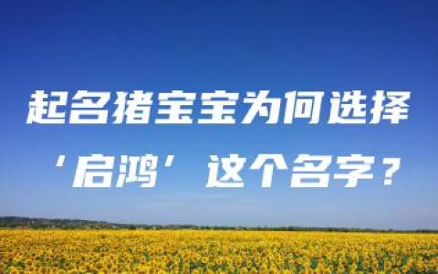 起名猪宝宝为何选择‘启鸿’这个名字？