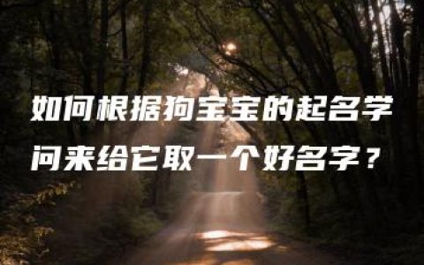 如何根据狗宝宝的起名学问来给它取一个好名字？