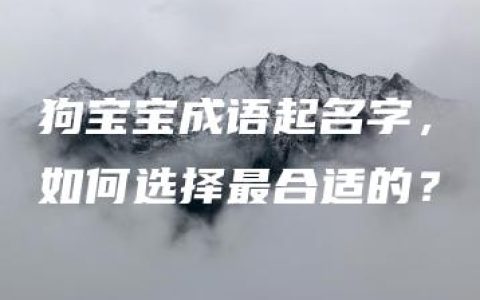 狗宝宝成语起名字，如何选择最合适的？