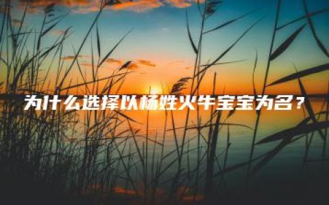 为什么选择以杨姓火牛宝宝为名？