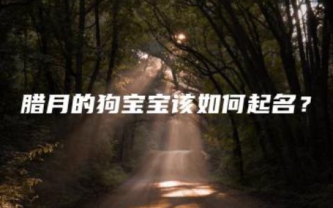 腊月的狗宝宝该如何起名？